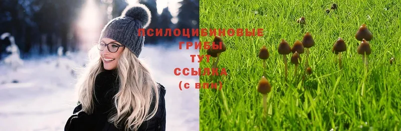 Псилоцибиновые грибы MAGIC MUSHROOMS  мориарти Telegram  Байкальск 